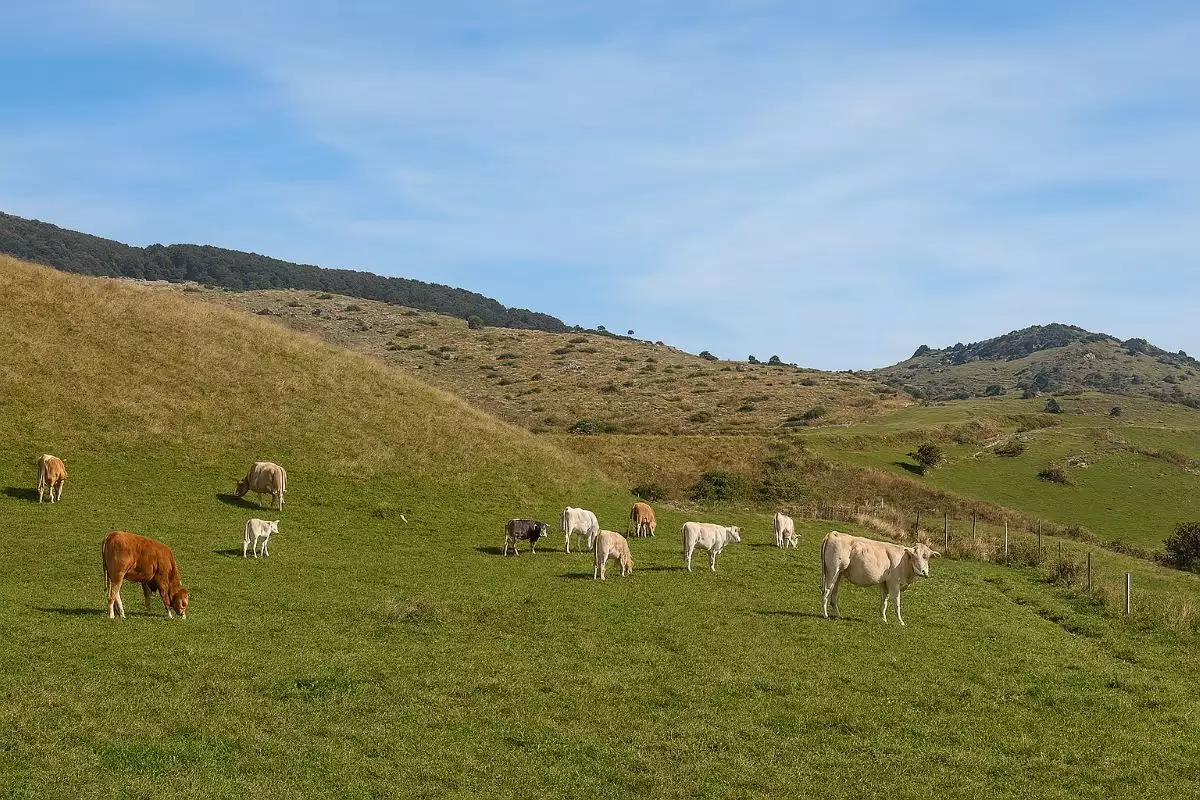 Un'immagine generica segnaposto con angoli arrotondati in una figura.